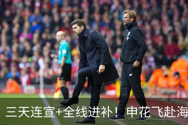 三天连宣+全线进补！申花飞赴海口启动新赛季